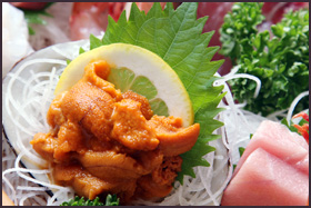 新鮮な魚貝